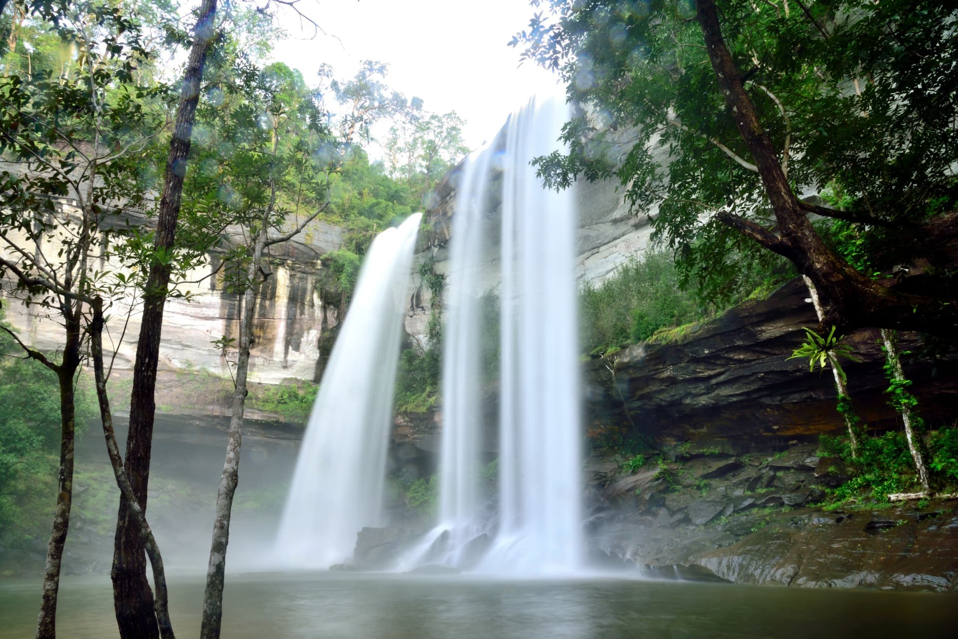 Le Parc National de Phu Chong Na Yoi