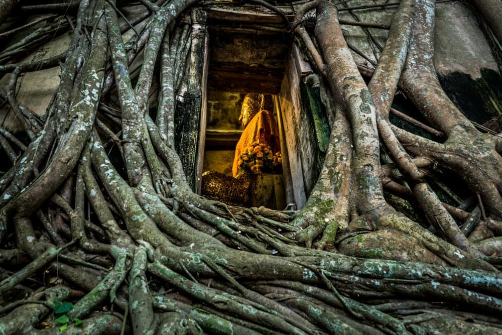 Wat Bang Kung (Kai Bang Kung)