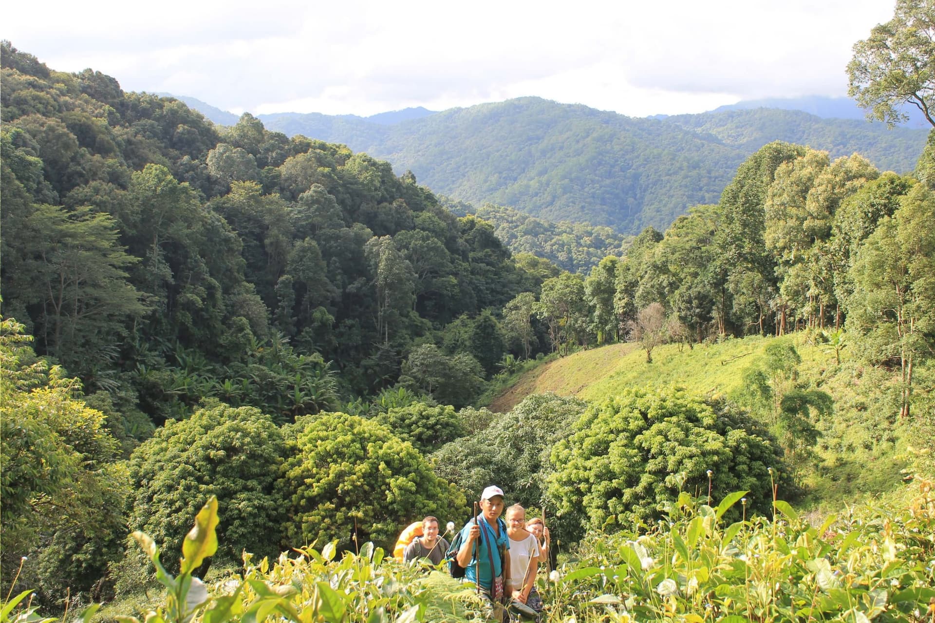 3 sites où faire des randonnées depuis Chiang Mai