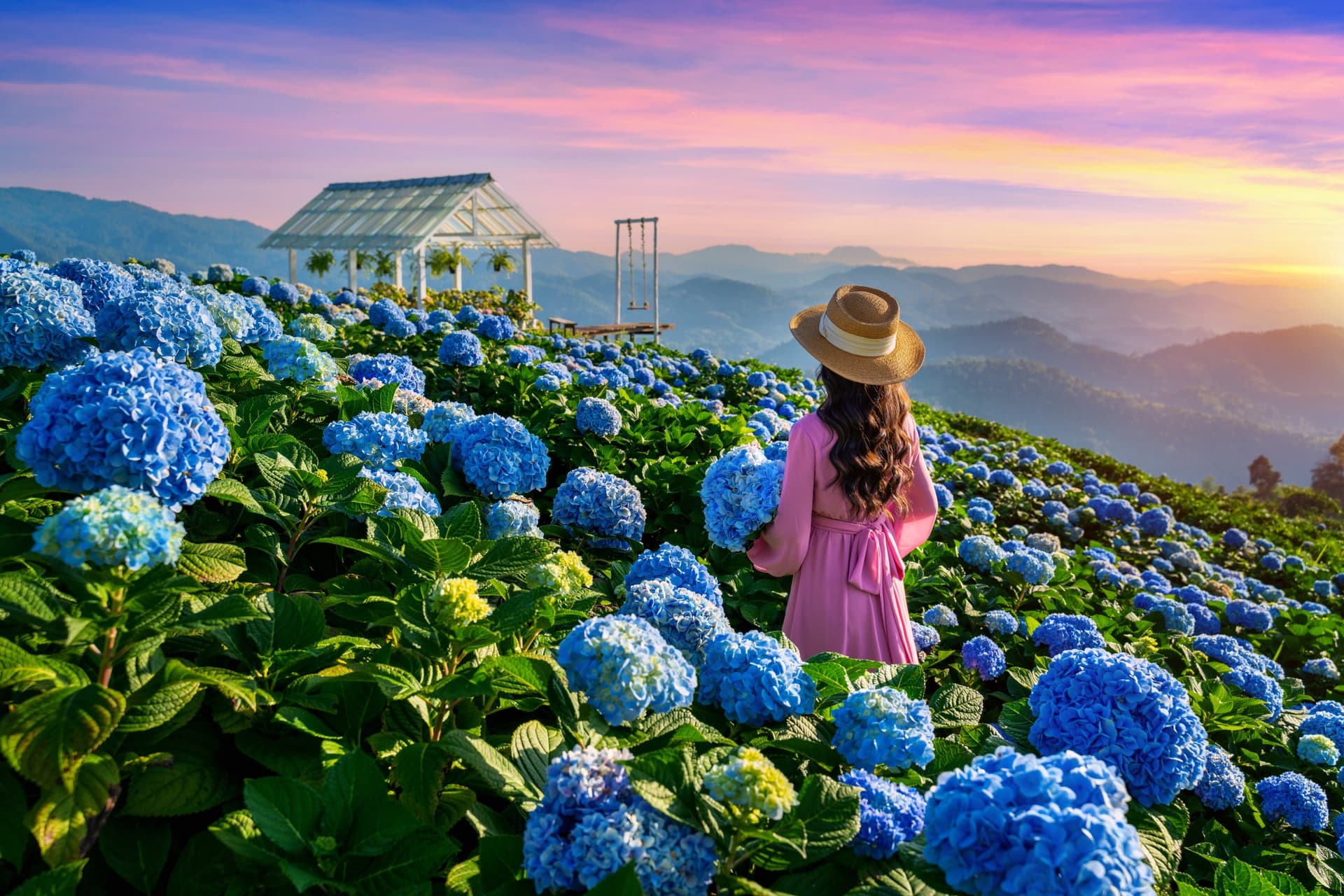 Chiang Mai ou Chiang Rai : quelle ville choisir ?