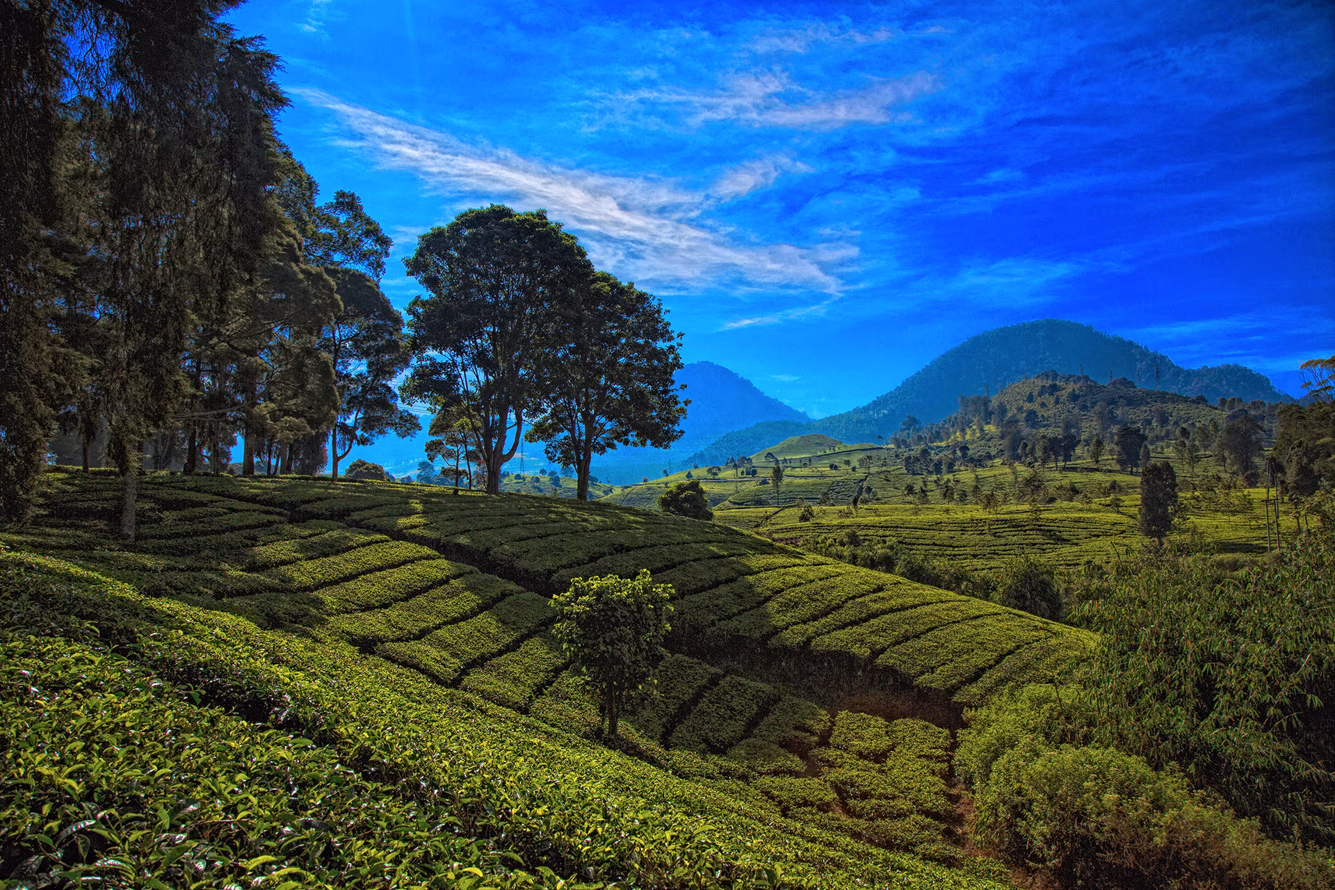 Toute la beauté de Java, l'île aux mille visages (version 21 jours)